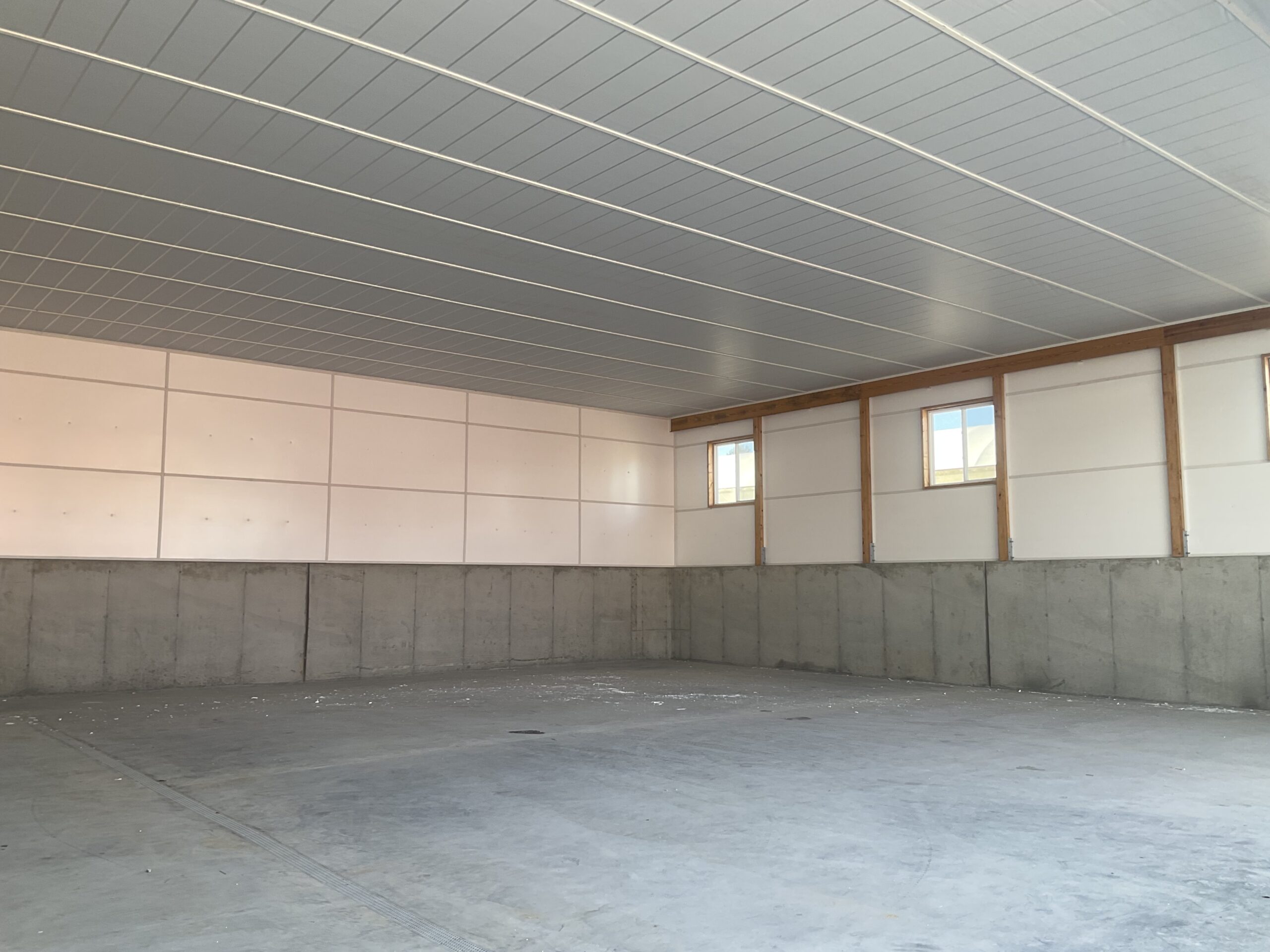 Triply Ceiling - Hi Perf Walls (1)